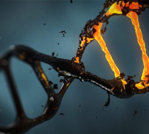 Exame de DNA identifica suspeito de estuprar mulheres 11