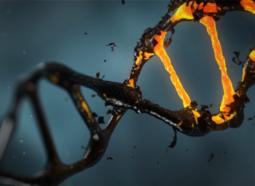 Exame de DNA identifica suspeito de estuprar mulheres 1