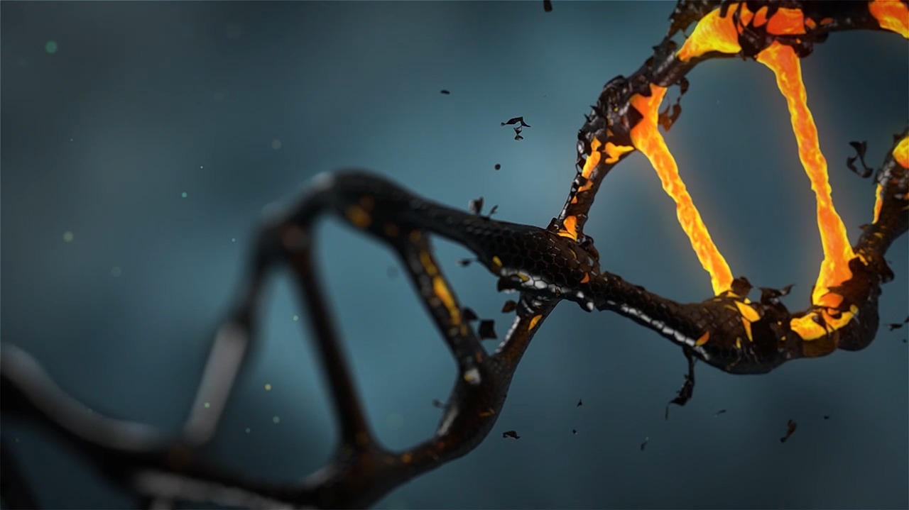 investigação_DNA