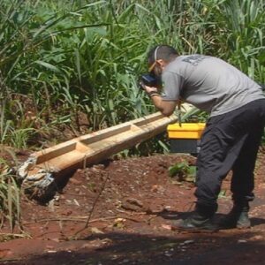 Perícia de Goiânia analisa postes e fiação em que homem levou choque e morreu 9