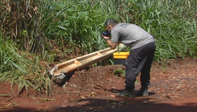 Perícia de Goiânia analisa postes e fiação em que homem levou choque e morreu 1